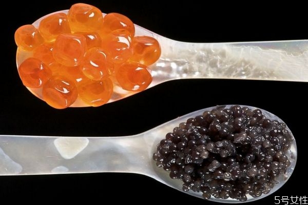 魚(yú)子醬有什么營(yíng)養(yǎng)價(jià)值呢 魚(yú)子醬應(yīng)該怎么吃呢 魚(yú)子醬有什么營(yíng)養(yǎng)價(jià)值呢 魚(yú)子醬應(yīng)該怎么吃呢