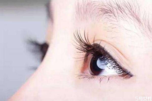 嫁接睫毛需要多久時(shí)間 嫁接睫毛多少錢能保持多久 嫁接睫毛需要多久時(shí)間 嫁接睫毛多少錢能保持多久