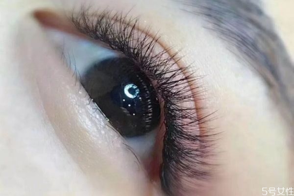 嫁接睫毛能管多長(zhǎng)時(shí)間 嫁接睫毛后如何保持更長(zhǎng)時(shí)間 嫁接睫毛能管多長(zhǎng)時(shí)間 嫁接睫毛后如何保持更長(zhǎng)時(shí)間