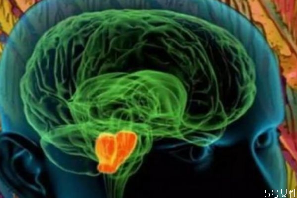 愛(ài)情是多巴胺的產(chǎn)物嗎 多巴胺是怎么產(chǎn)生的呢