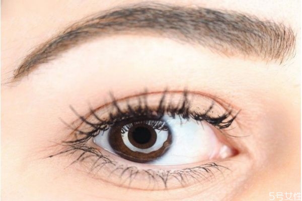 假睫毛怎樣清洗 怎么清理卸下來(lái)的假睫毛 假睫毛怎樣清洗 怎么清理卸下來(lái)的假睫毛