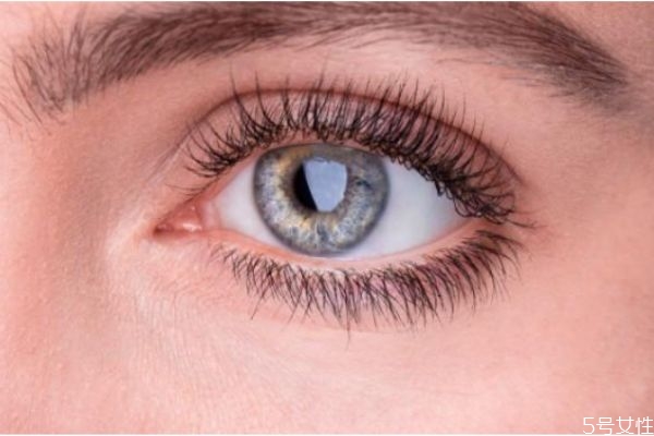 假睫毛怎樣清洗 怎么清理卸下來(lái)的假睫毛 假睫毛怎樣清洗 怎么清理卸下來(lái)的假睫毛