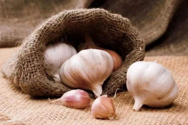 吃大蒜可以增強(qiáng)抵抗力嗎 大蒜可以增強(qiáng)免疫力嗎 吃大蒜可以增強(qiáng)抵抗力嗎 大蒜可以增強(qiáng)免疫力嗎