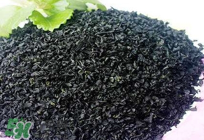 怎么辨別螺旋藻的真假？買螺旋藻怎么挑？