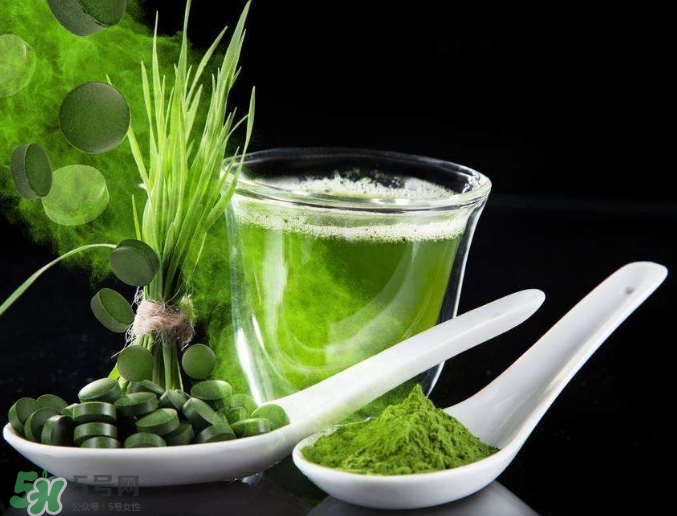 螺旋藻是什么？螺旋藻是堿性的嗎？