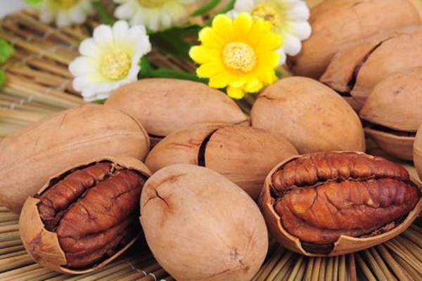 碧根果哪個形狀的最好 碧根果的熱量高嗎 碧根果哪個形狀的最好 碧根果的熱量高嗎