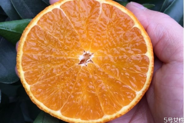 吃愛媛38號(hào)對(duì)身體有什么好處 愛媛38號(hào)吃起來像橘子嗎