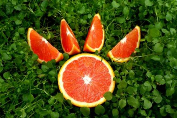 血橙吃了能減肥嗎 血橙和蘋果哪個(gè)更減肥