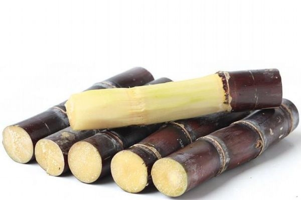 吃甘蔗會導(dǎo)致牙齒松動嗎 吃甘蔗應(yīng)該注意什么呢 吃甘蔗會導(dǎo)致牙齒松動嗎 吃甘蔗應(yīng)該注意什么呢