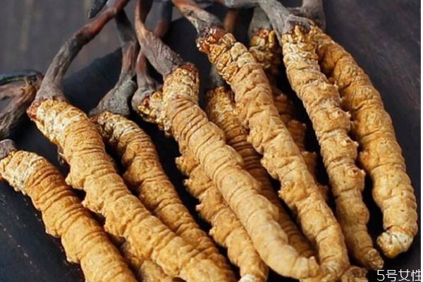 蟲(chóng)草有什么功效呢 蟲(chóng)草生長(zhǎng)在哪里呢 蟲(chóng)草有什么功效呢 蟲(chóng)草生長(zhǎng)在哪里呢