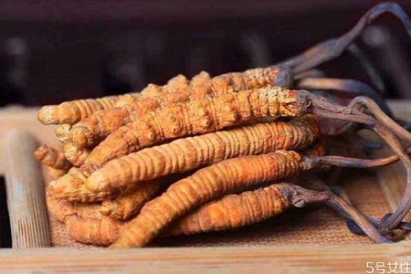 蟲(chóng)草有什么功效呢 蟲(chóng)草生長(zhǎng)在哪里呢 蟲(chóng)草有什么功效呢 蟲(chóng)草生長(zhǎng)在哪里呢