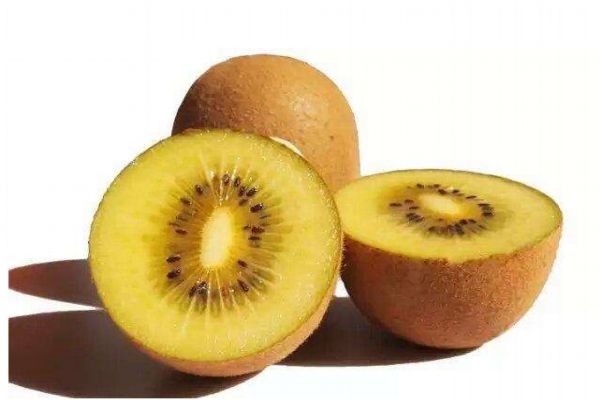 孕婦可以吃黃心獼猴桃嗎 什么人不能吃黃心獼猴桃呢 孕婦可以吃黃心獼猴桃嗎 什么人不能吃黃心獼猴桃呢