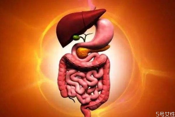 什么是腸痙攣呢 腸痙攣的癥狀有什么呢 什么是腸痙攣呢 腸痙攣的癥狀有什么呢