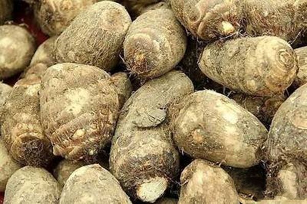 香芋放冰箱可以放多久 香芋的正確保存方法 香芋放冰箱可以放多久 香芋的正確保存方法