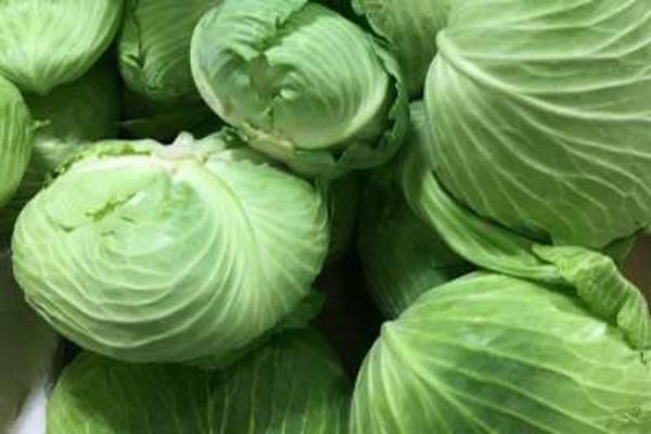 如何炒包菜又軟又入味 包菜怎么炒不會(huì)出水 如何炒包菜又軟又入味 包菜怎么炒不會(huì)出水