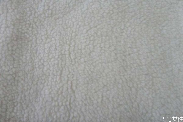 羊羔毛為什么貴 羊羔毛與羊毛哪個(gè)貴