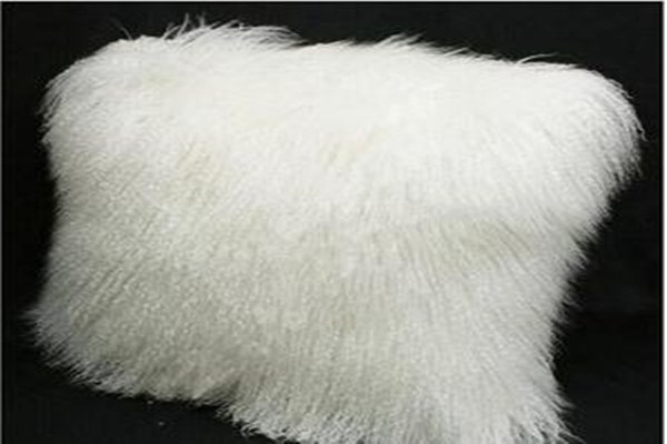 灘羊毛是什么 灘羊毛和羊羔毛有什么區(qū)別 灘羊毛是什么 灘羊毛和羊羔毛有什么區(qū)別