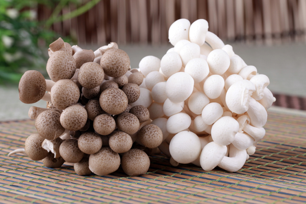 蟹味菇是什么樣子 怎么挑選蟹味菇 蟹味菇是什么樣子 怎么挑選蟹味菇