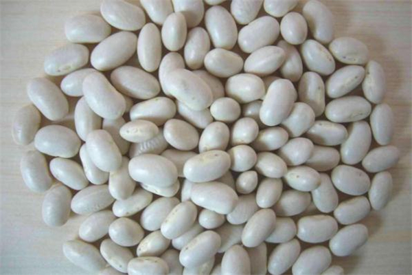 蕓豆不能和什么一起吃 蕓豆和什么相克 蕓豆不能和什么一起吃 蕓豆和什么相克