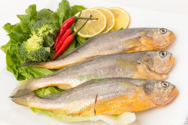 吃黃花魚(yú)有什么注意的呢 孕婦可以吃黃花魚(yú)嗎