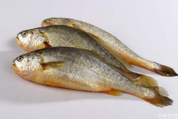 吃黃花魚(yú)有什么注意的呢 孕婦可以吃黃花魚(yú)嗎
