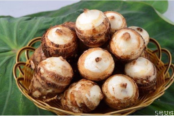 吃芋頭有什么注意的呢 什么人不能芋頭 吃芋頭有什么注意的呢 什么人不能芋頭