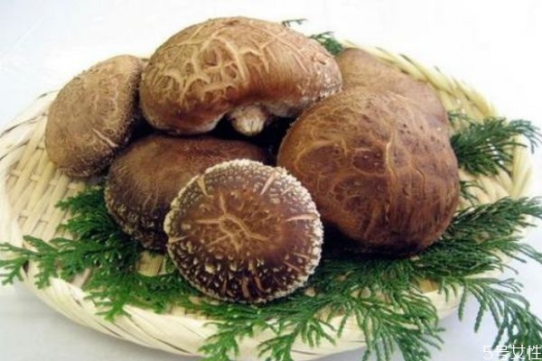 吃香菇有什么好處呢 香菇怎么做好吃呢 吃香菇有什么好處呢 香菇怎么做好吃呢