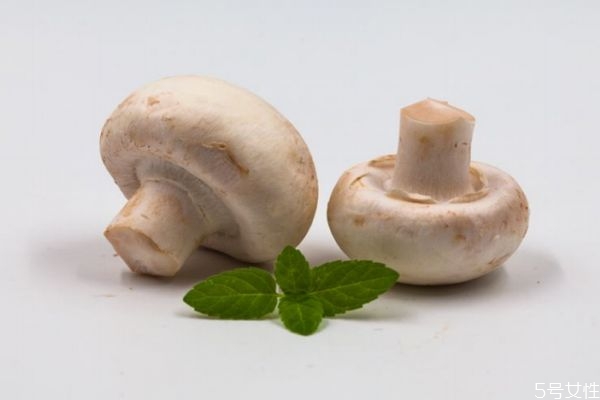 口蘑和芹菜能一起吃嗎 搭配美味 口蘑和芹菜能一起吃嗎 搭配美味