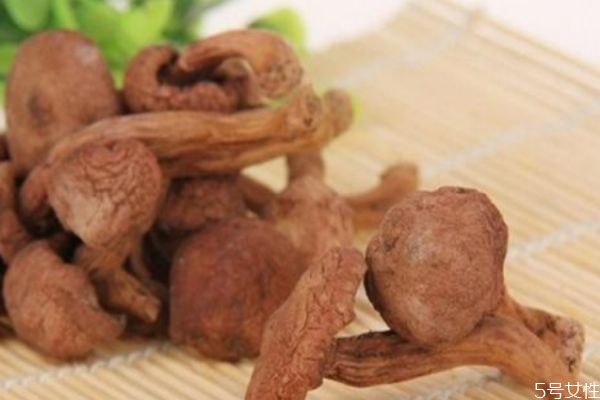 松蘑的價(jià)格是多少