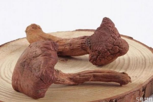 松蘑怎么保存才不容易壞 松蘑怎么保存才不容易壞