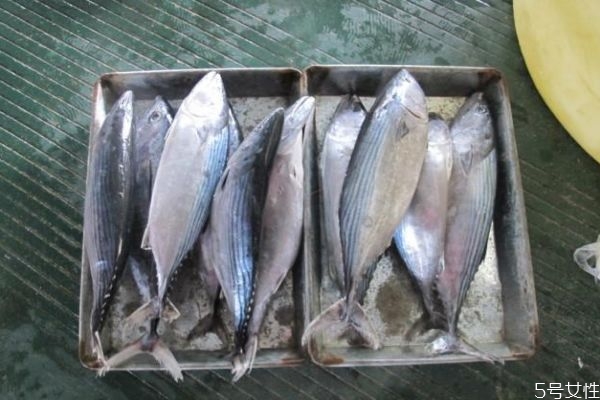 吃竹莢魚(yú)有什么注意的呢 孕婦可以吃竹莢魚(yú)嗎