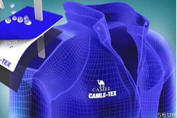 駱駝是哪個國家的品牌 駱駝鞋屬于什么檔次 駱駝是哪個國家的品牌 駱駝鞋屬于什么檔次