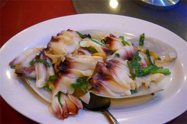 象拔蚌為什么叫象拔蚌 象拔蚌是大象的哪個部位 象拔蚌為什么叫象拔蚌 象拔蚌是大象的哪個部位