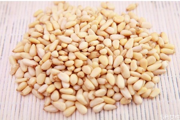 松子仁有什么營(yíng)養(yǎng)價(jià)值呢 松子仁怎么做好吃呢 松子仁有什么營(yíng)養(yǎng)價(jià)值呢 松子仁怎么做好吃呢