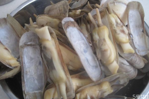 海蟶應該怎么挑選呢 海蟶怎么清洗呢