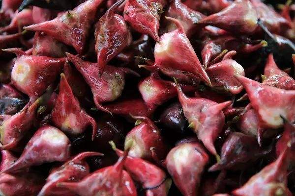 蒸菱角要多長(zhǎng)時(shí)間 菱角是蒸好還是煮好