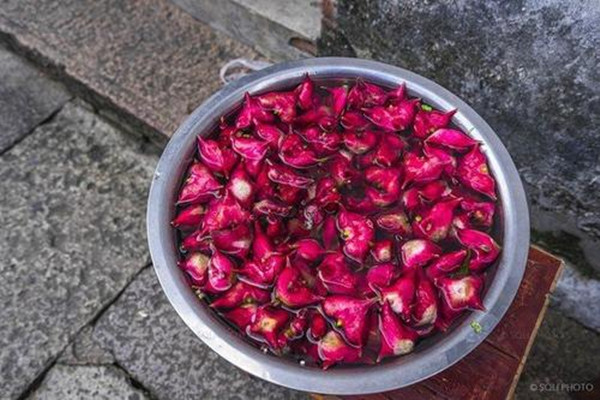 女生吃菱角有什么好處 新鮮的菱角肉怎么保存 女生吃菱角有什么好處 新鮮的菱角肉怎么保存