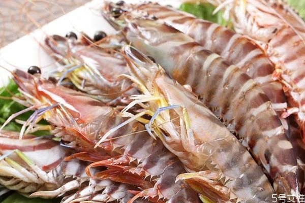 什么是竹節(jié)蝦呢 竹節(jié)蝦有什么營養(yǎng)價值呢 什么是竹節(jié)蝦呢 竹節(jié)蝦有什么營養(yǎng)價值呢