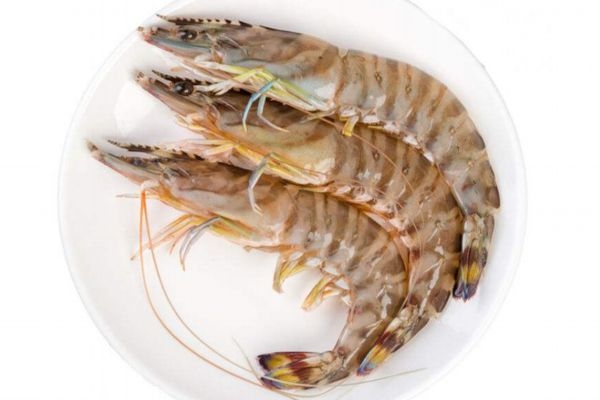 什么是竹節(jié)蝦呢 竹節(jié)蝦有什么營養(yǎng)價值呢 什么是竹節(jié)蝦呢 竹節(jié)蝦有什么營養(yǎng)價值呢