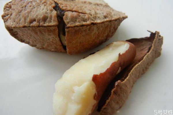 鮑魚果是長在地上還是樹上呢 鮑魚果兒童可以吃嗎 鮑魚果是長在地上還是樹上呢 鮑魚果兒童可以吃嗎