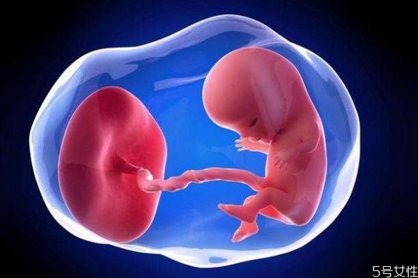 肚里的寶寶的多久可以聽見聲音呢 肚里的寶寶會(huì)苦笑嗎 肚里的寶寶的多久可以聽見聲音呢 肚里的寶寶會(huì)苦笑嗎