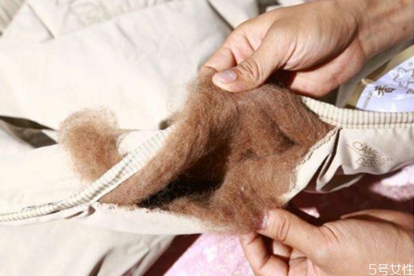 駝絨是什么面料 棉花棉褲和駝絨棉褲哪個(gè)比較保暖 駝絨是什么面料 棉花棉褲和駝絨棉褲哪個(gè)比較保暖