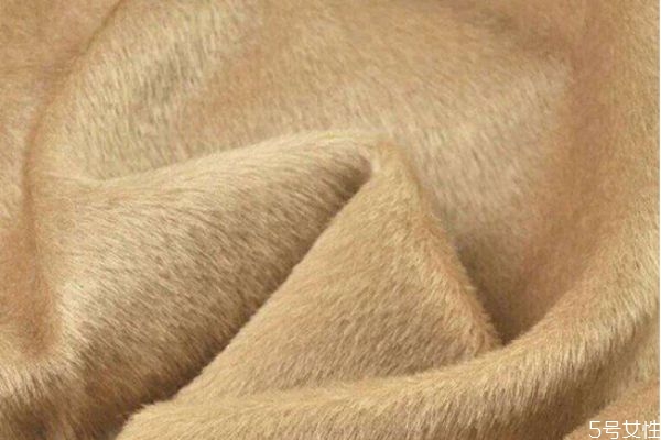 駝絨是什么面料 棉花棉褲和駝絨棉褲哪個(gè)比較保暖 駝絨是什么面料 棉花棉褲和駝絨棉褲哪個(gè)比較保暖