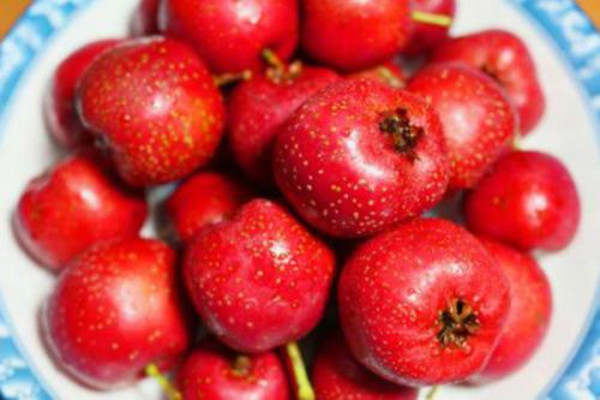 山楂不能多吃的原因 什么情況下不能吃山楂