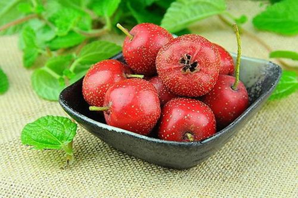 新鮮山楂能放多久 山楂買什么樣的好 新鮮山楂能放多久 山楂買什么樣的好