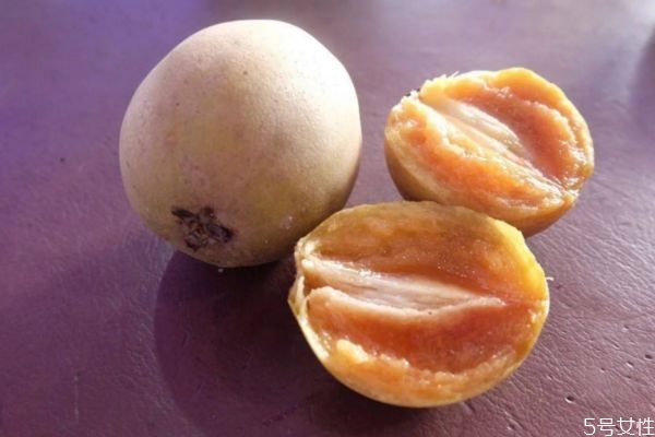 人心果一般成熟在幾月份 人心果怎么選購(gòu)呢