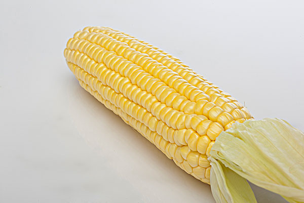 吃玉米的最佳時(shí)間 玉米?？梢灾竺鏃l嗎