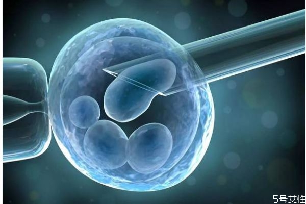 試管嬰兒可以決定性別嗎 試管嬰兒和普通嬰兒一樣嗎 試管嬰兒可以決定性別嗎 試管嬰兒和普通嬰兒一樣嗎