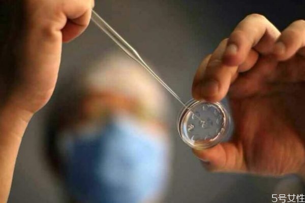 試管嬰兒可以決定性別嗎 試管嬰兒和普通嬰兒一樣嗎 試管嬰兒可以決定性別嗎 試管嬰兒和普通嬰兒一樣嗎