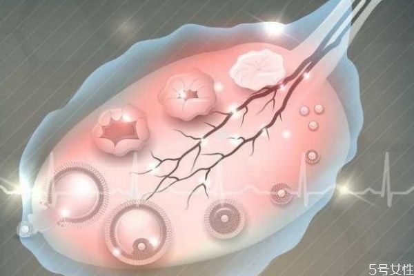 補(bǔ)佳樂排卵期可以吃嗎 排卵期吃補(bǔ)佳樂無礙